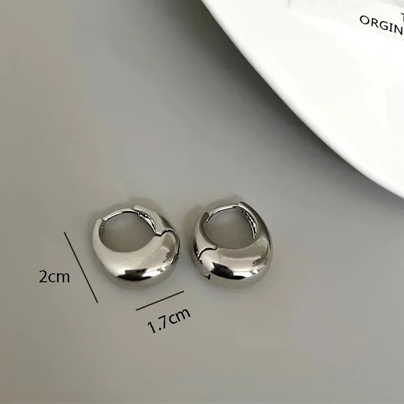 Stainless Steel Chunky Hoop Earrings