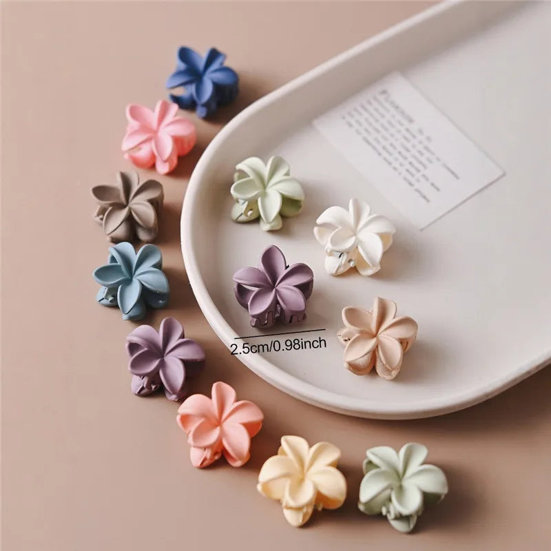 Small Hair Claw Clips