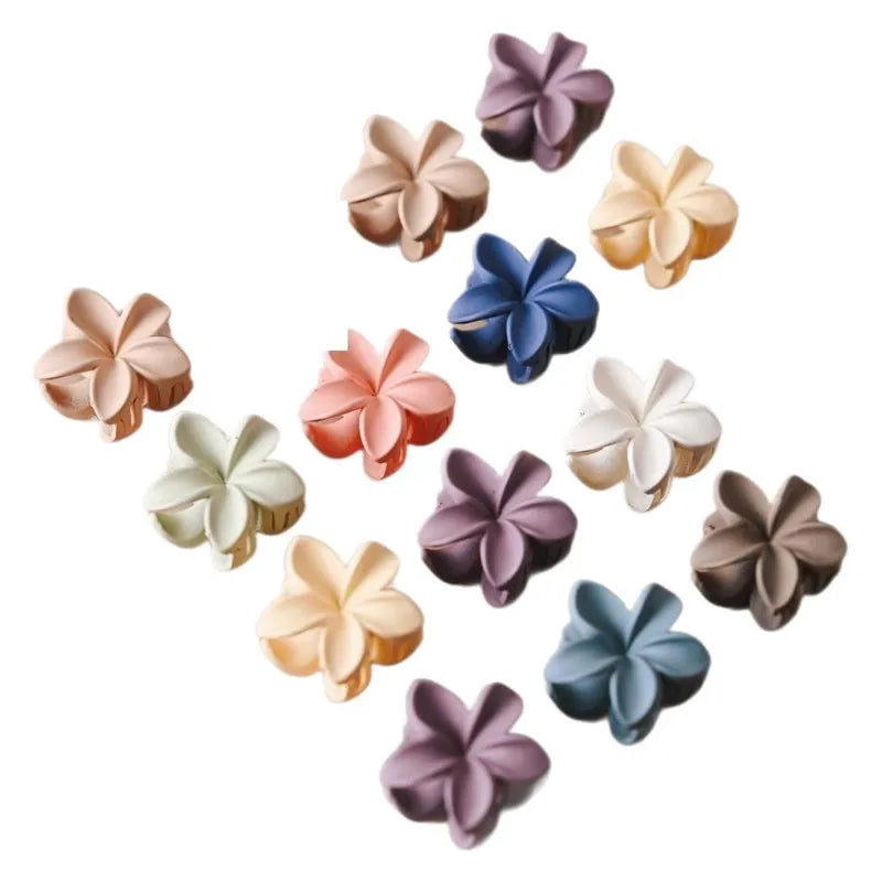 Small Hair Claw Clips