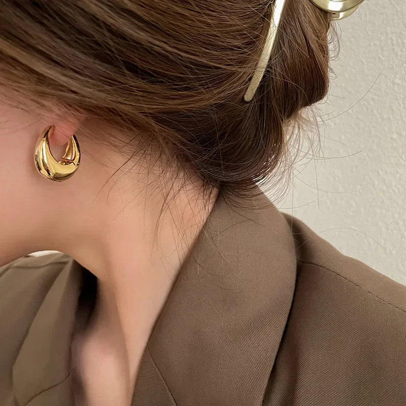Stainless Steel Chunky Hoop Earrings