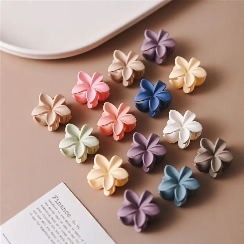 Small Hair Claw Clips