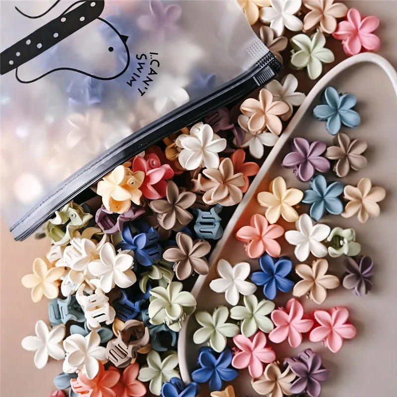 Small Hair Claw Clips