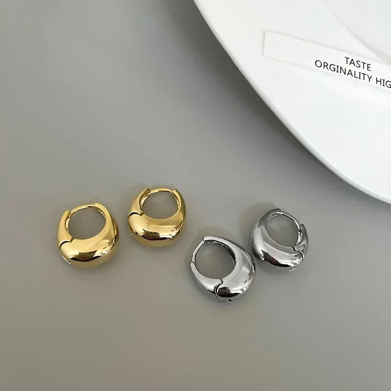Stainless Steel Chunky Hoop Earrings
